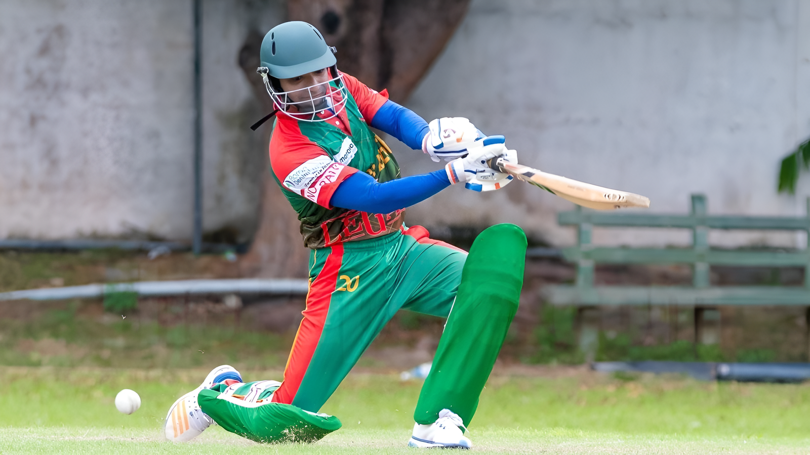 Lawyer's Cricket World Cup 2017